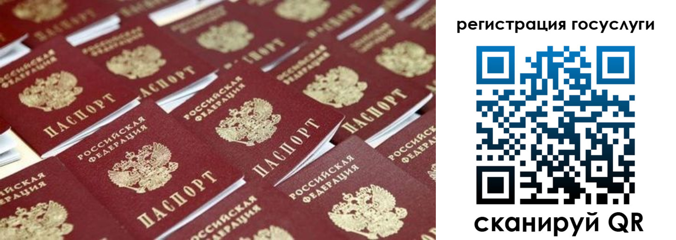 прописка ребенка в Богучаре